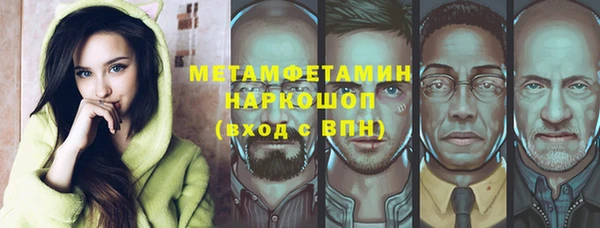 дживик Туринск