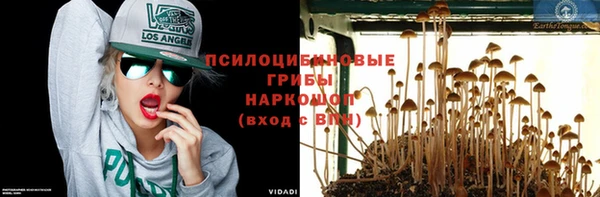 ECSTASY Алексеевка
