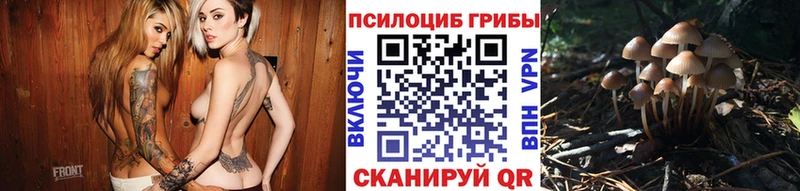 OMG рабочий сайт где продают наркотики Трубчевск Псилоцибиновые грибы прущие грибы