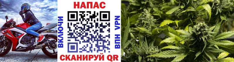Бошки марихуана Amnesia  Трубчевск 